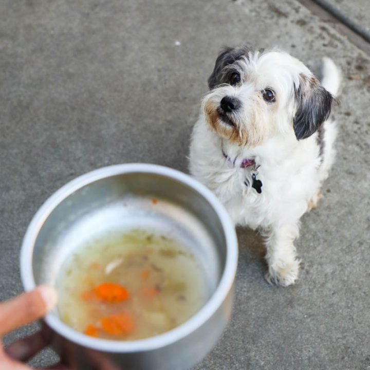 How to Make Beef Bone Broth for Dogs • The Heirloom Pantry