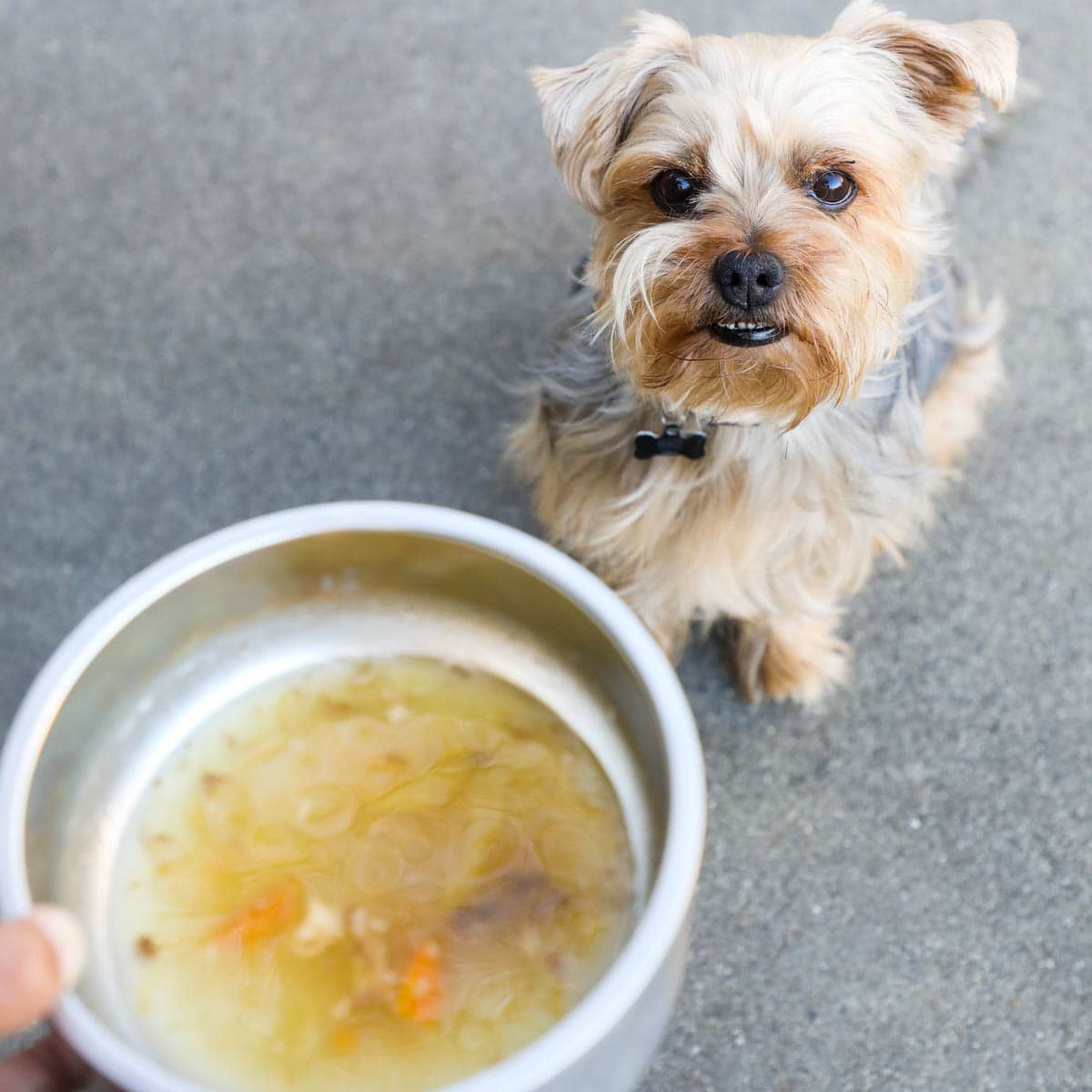 How To Make Beef Bone Broth For Dogs