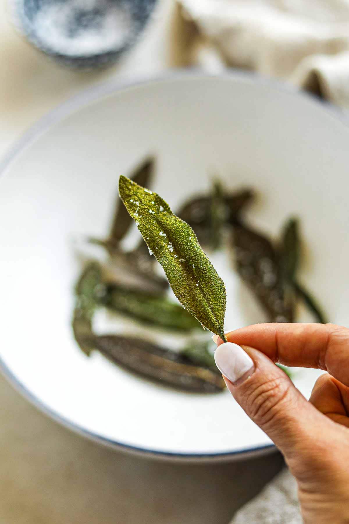 Fried sage leaves in a bowl and a hand holding a crispy sage leaf.