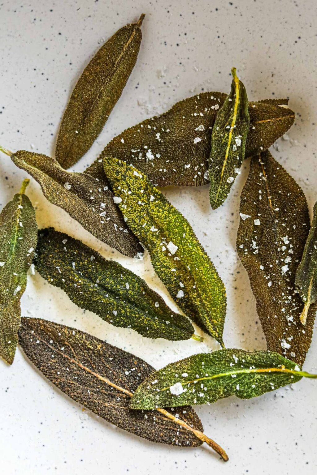 Fried Crispy Sage Leaves • The Heirloom Pantry