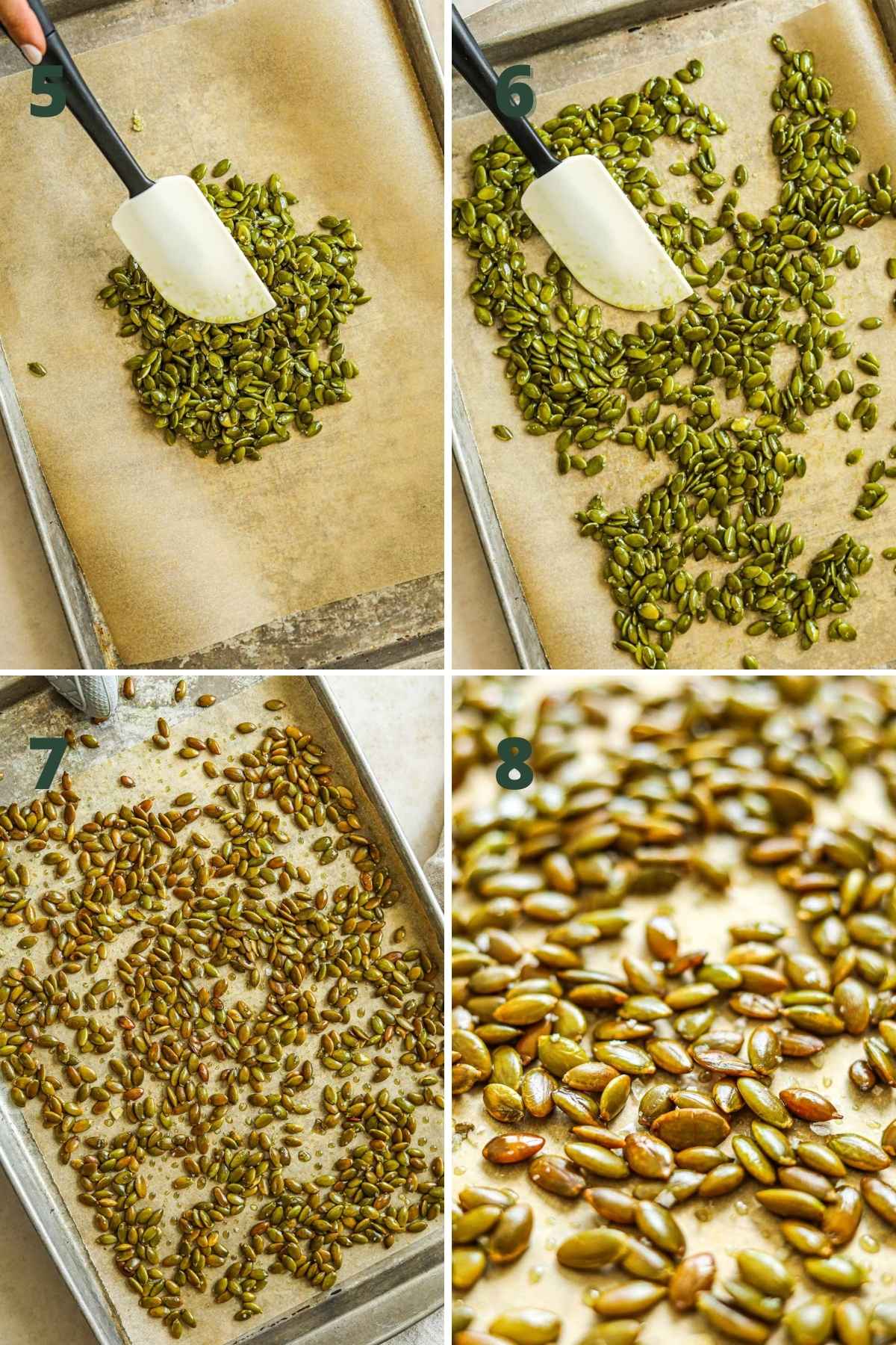 Steps to make roasted pumpkin seeds, like spreading the seeds on a sheet pan, roasting, mixing, and roasting longer, then serving for salads, a snack, and more.
