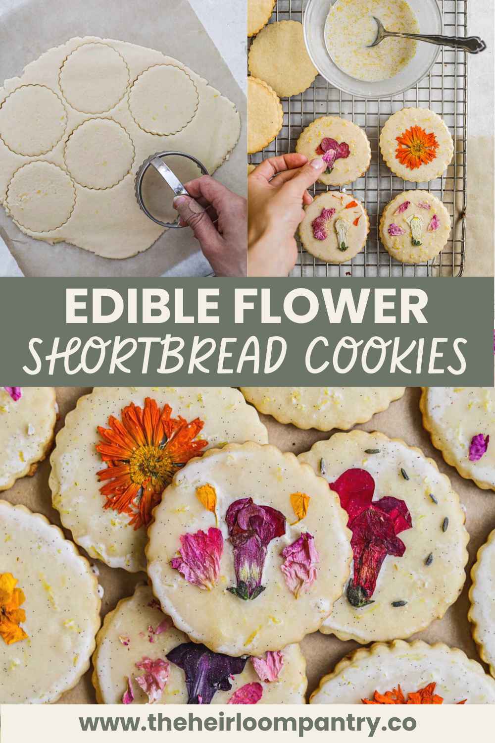 Edible flower lemon shortbread cookies Pinterest pin.