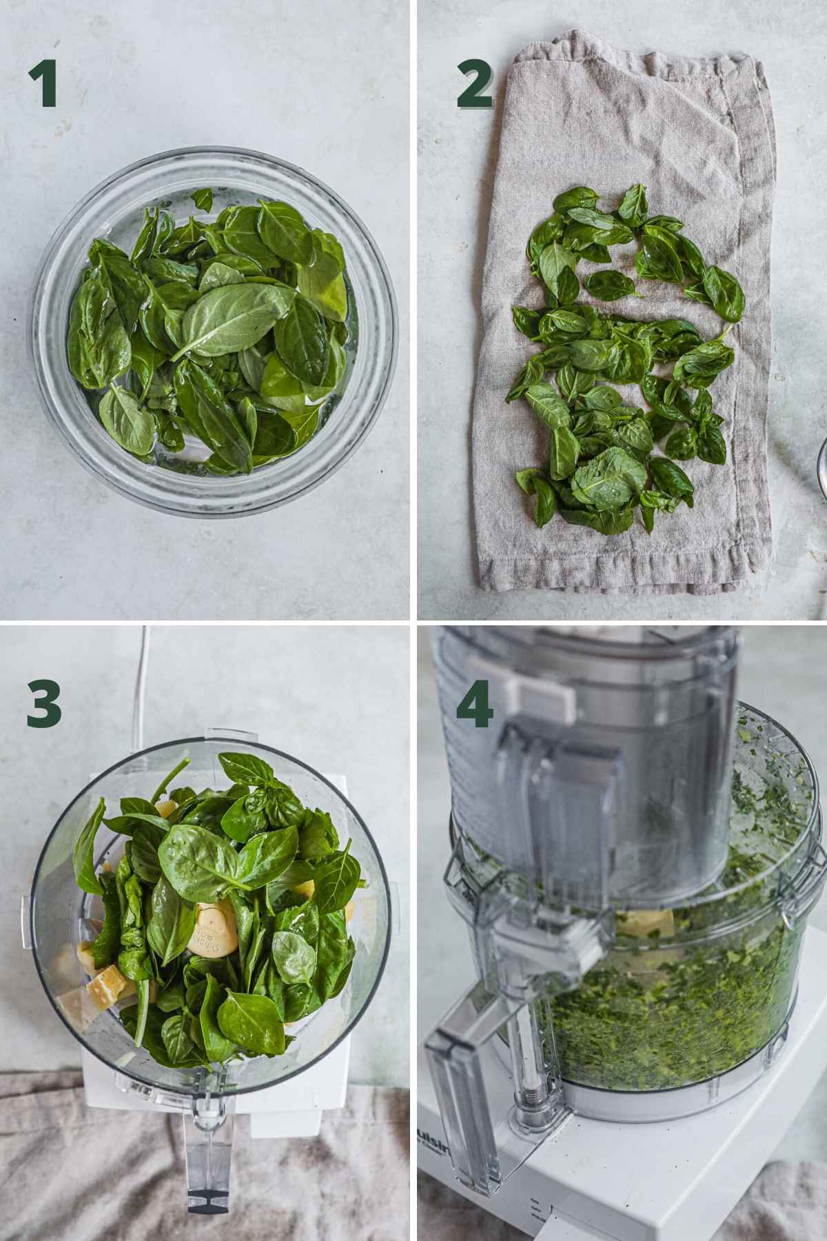Step to make pesto alla genovese (classic basil pesto), chilling and drying basil leaves, adding cheese, garlic, basil, and pine nuts to food processor, and blending.