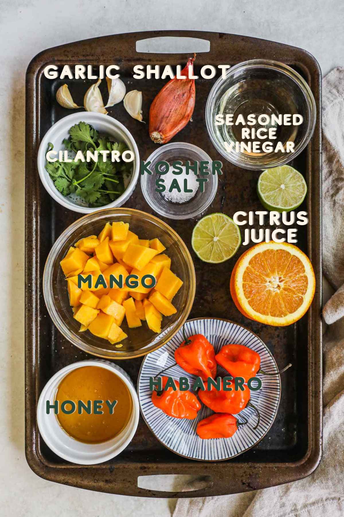 Ingredients to make mango habanero pepper sauce, including garlic, shallot, seasoned rice vinegar, kosher salt, citrus juice, honey, mango pulp, and habanero peppers.