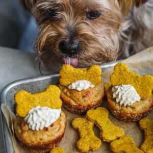 Peanut Butter and Carrot Cupcakes for Dogs (Pupcakes) • The Heirloom Pantry