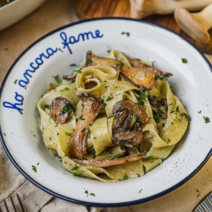 Creamy gorgonzola mushroom pappardelle in a bowl, topped with sautéed crimini and trumpet mushrooms, Italian parsley, and grated parmigiano-reggiano.