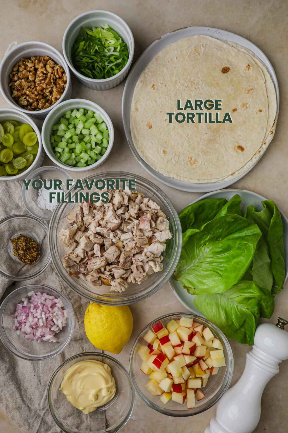 Ingredients to wrap a burrito or tortilla wrap, large tortilla and your favorite burrito or wrap fillings.